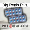 Big Penis Pills viagra4